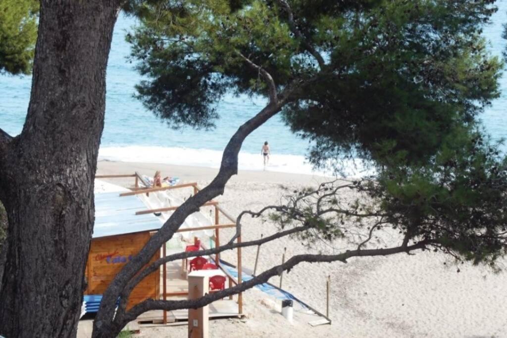 Preciosa Casa Con Piscina Al Lado De La Playa Villa Miami Playa Ngoại thất bức ảnh